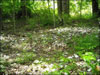My Gallery: Image